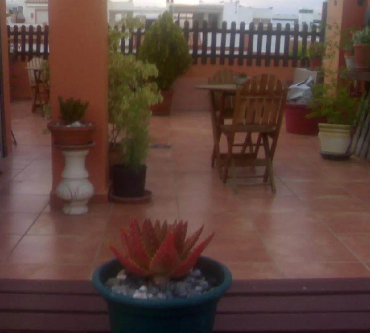 ** Guest house Hospederia V Centenario Hotel Estepona Spain